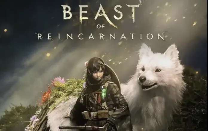 Beast of Reincarnation Update 1.005 Patch Notes (Version 1.0.7)