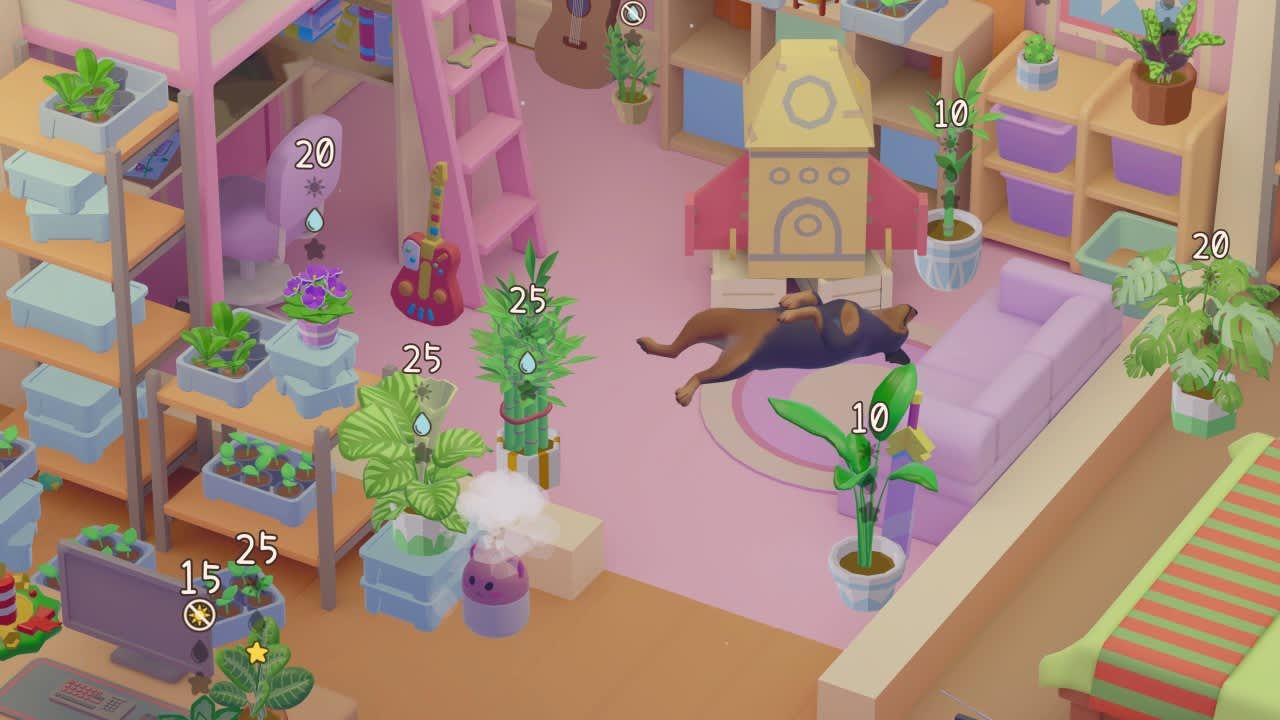 Urban Jungle 6